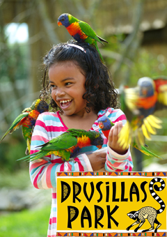 Drusillas park